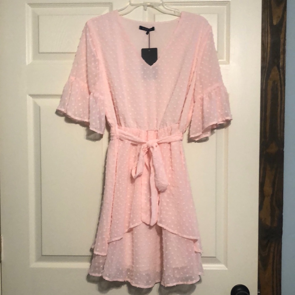 NWT Pink Dotted Swiss Dress Size Large